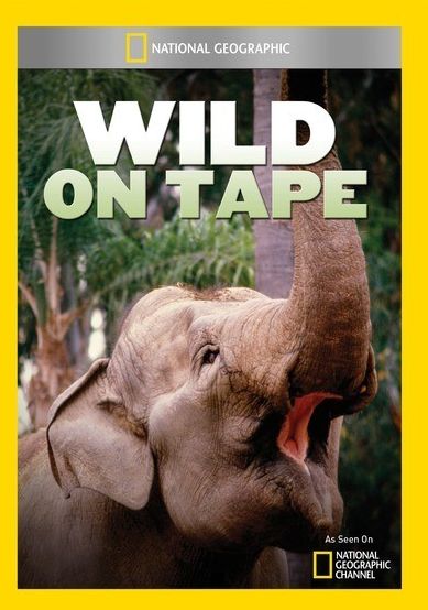 Wild on Tape