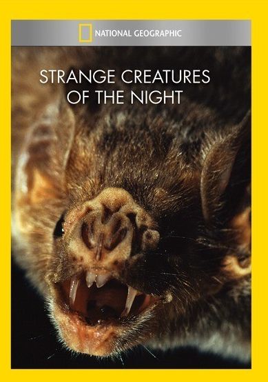 National Geographic: Strange Creatures of the Night