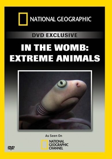 In the Womb: Extreme Animals