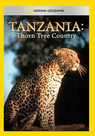 Tanzania: Thorn Tree Country
