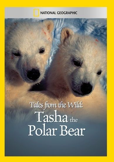 Tales from the Wild: Tasha the Polar Bear