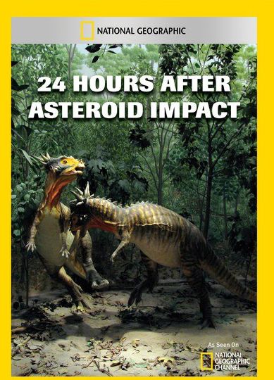 24 Hours After Asteroid Impact