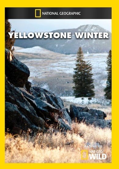 Yellowstone Winter