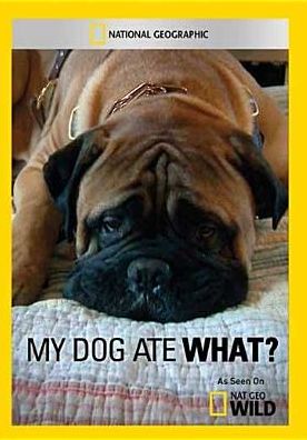 My Dog Ate What?