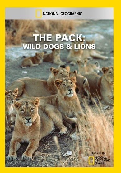 The Pack: Wild Dogs & Lions