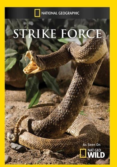 Strike Force