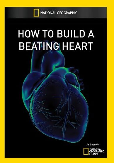 How to Build a Beating Heart