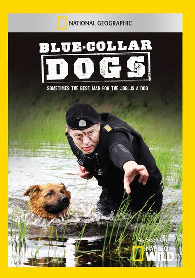 Blue Collar Dogs