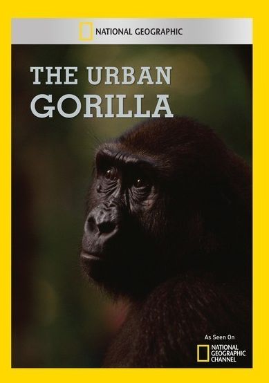 The Urban Gorilla