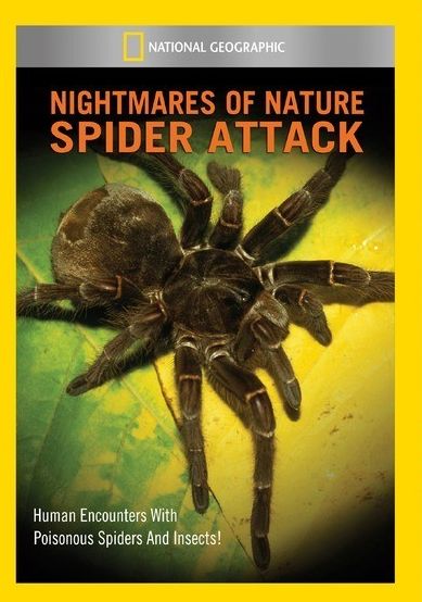 National Geographic: Nightmares Of Nature - Spider Attack