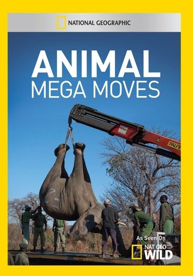 Animal Mega Moves