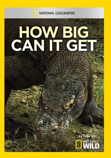 How Big Can It Get?