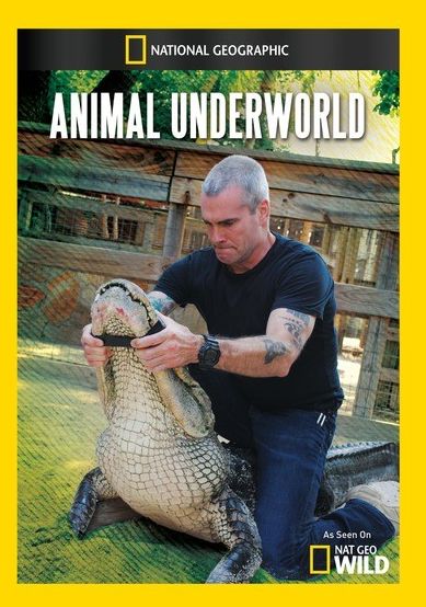 Animal Underworld