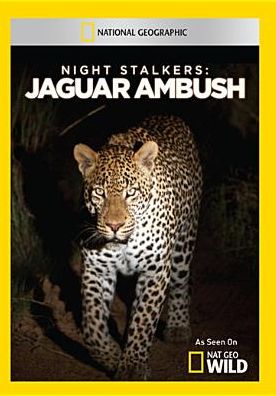 Night Stalkers: Jaguar Ambush