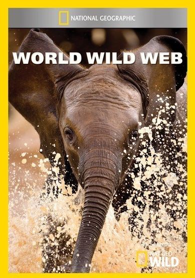 World Wild Web