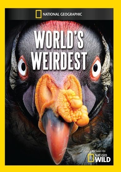 World's Weirdest