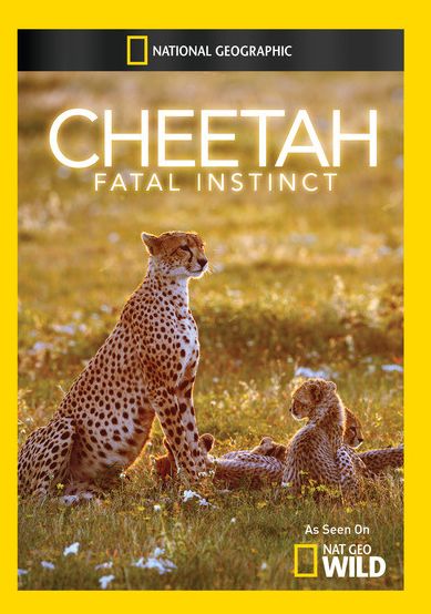 Cheetah Fatal Instinct