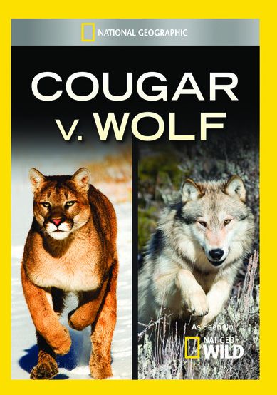 Cougar V. Wolf