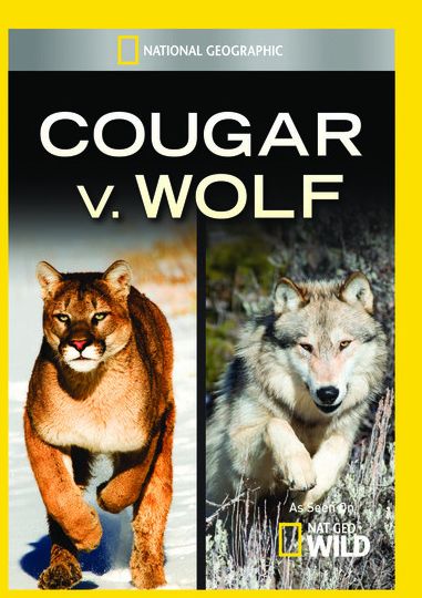 Cougar V. Wolf