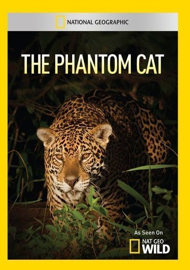 The Phantom Cat
