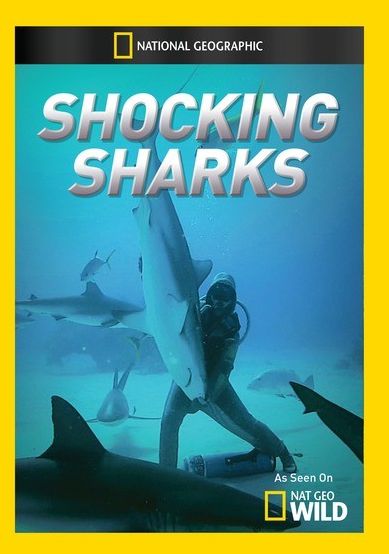Shocking Sharks
