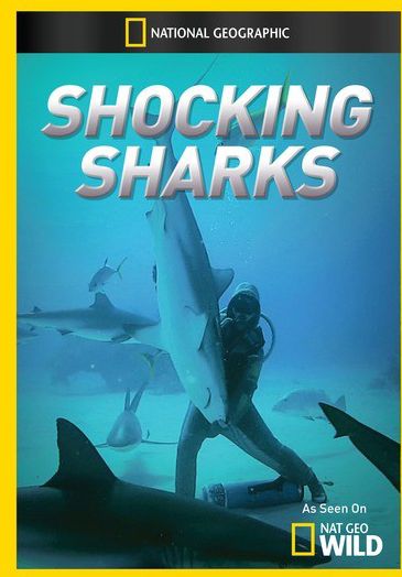 Shocking Sharks