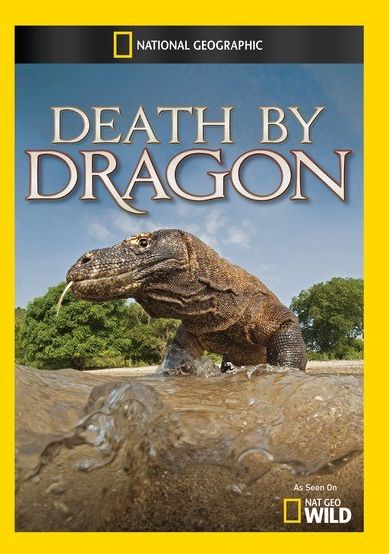 Death By Dragon