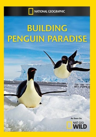Building Penguin Paradise