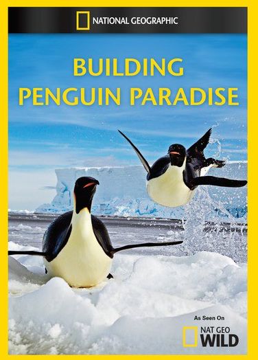 Building Penguin Paradise