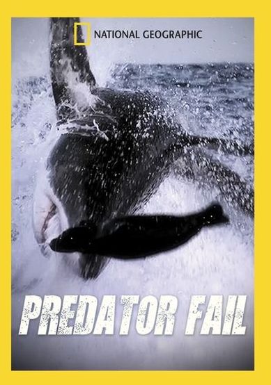 Predator Fail