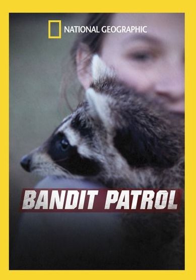 Bandit Patrol