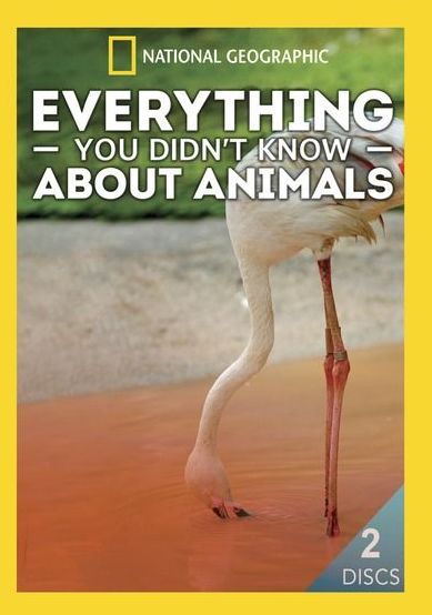 Everything You Didn't Know About Animals