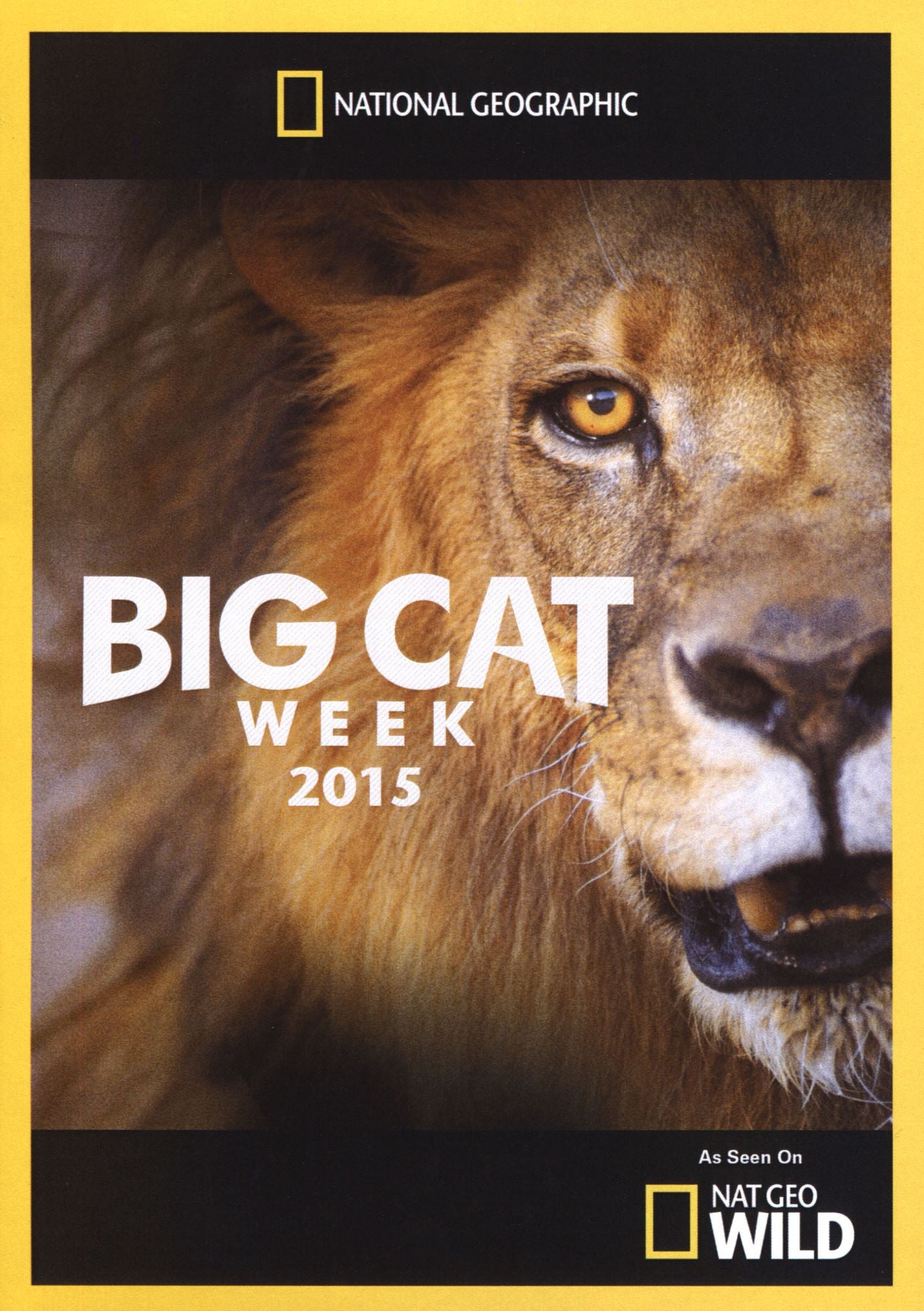 Big Cat Week 2015