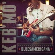 BLUESAMERICANA