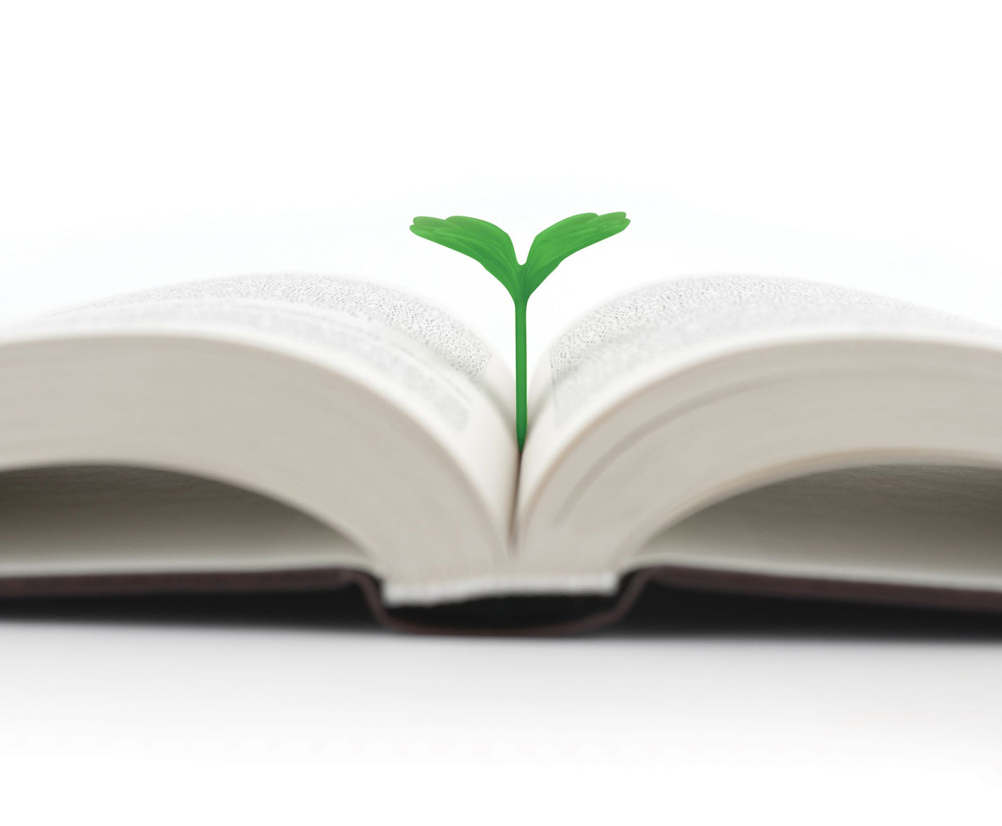 Lucky Sprout Bookmarks - (Set of 4)