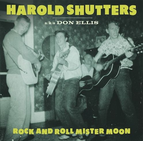 Rock N' Roll Mister Moon