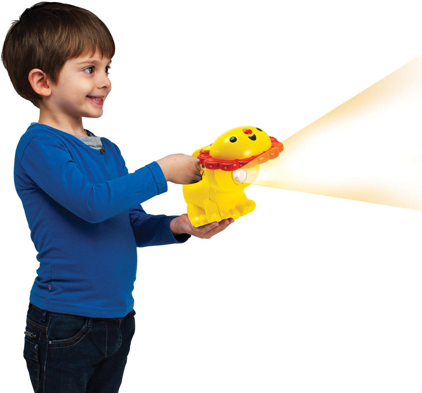 FP Light-up Lion