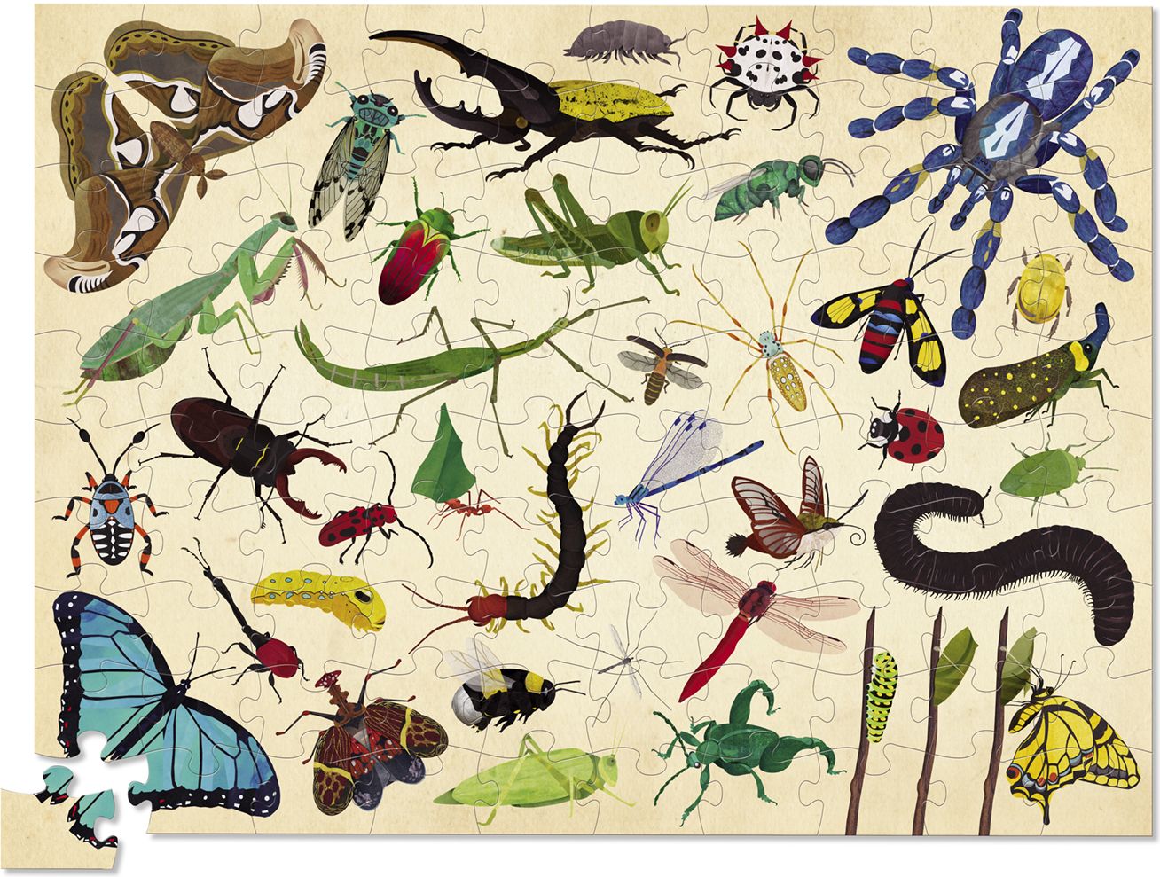 Thirty Six Insects 100 pc puzzle