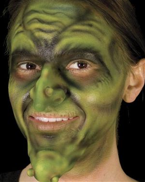 Cinema Secrets WO372 - Large Wicked Witch Set - Large