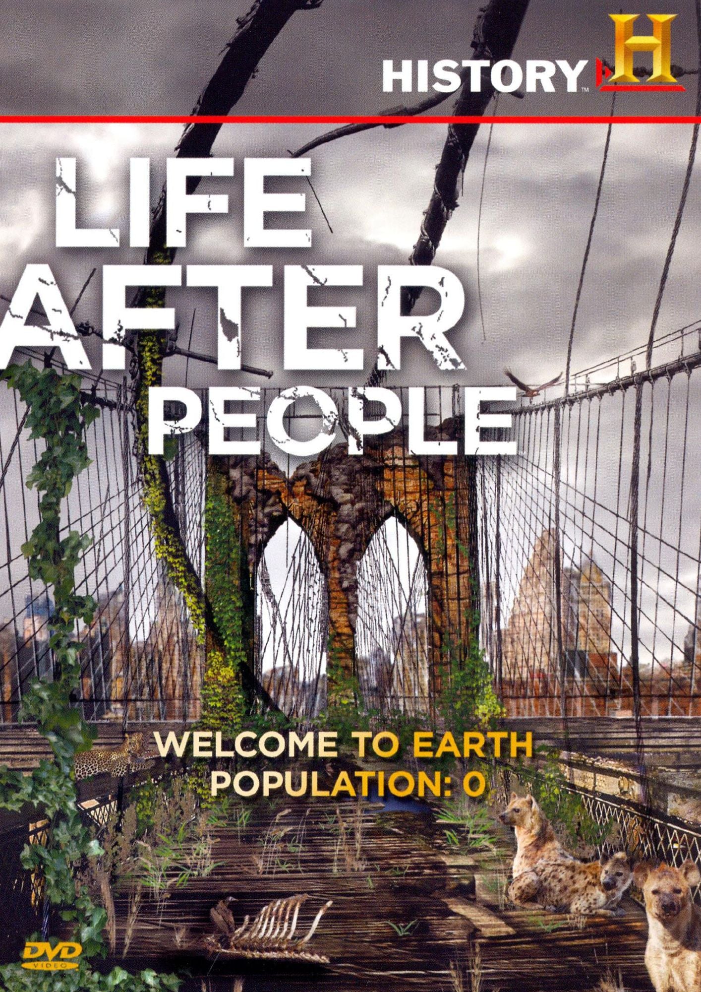 Life After People