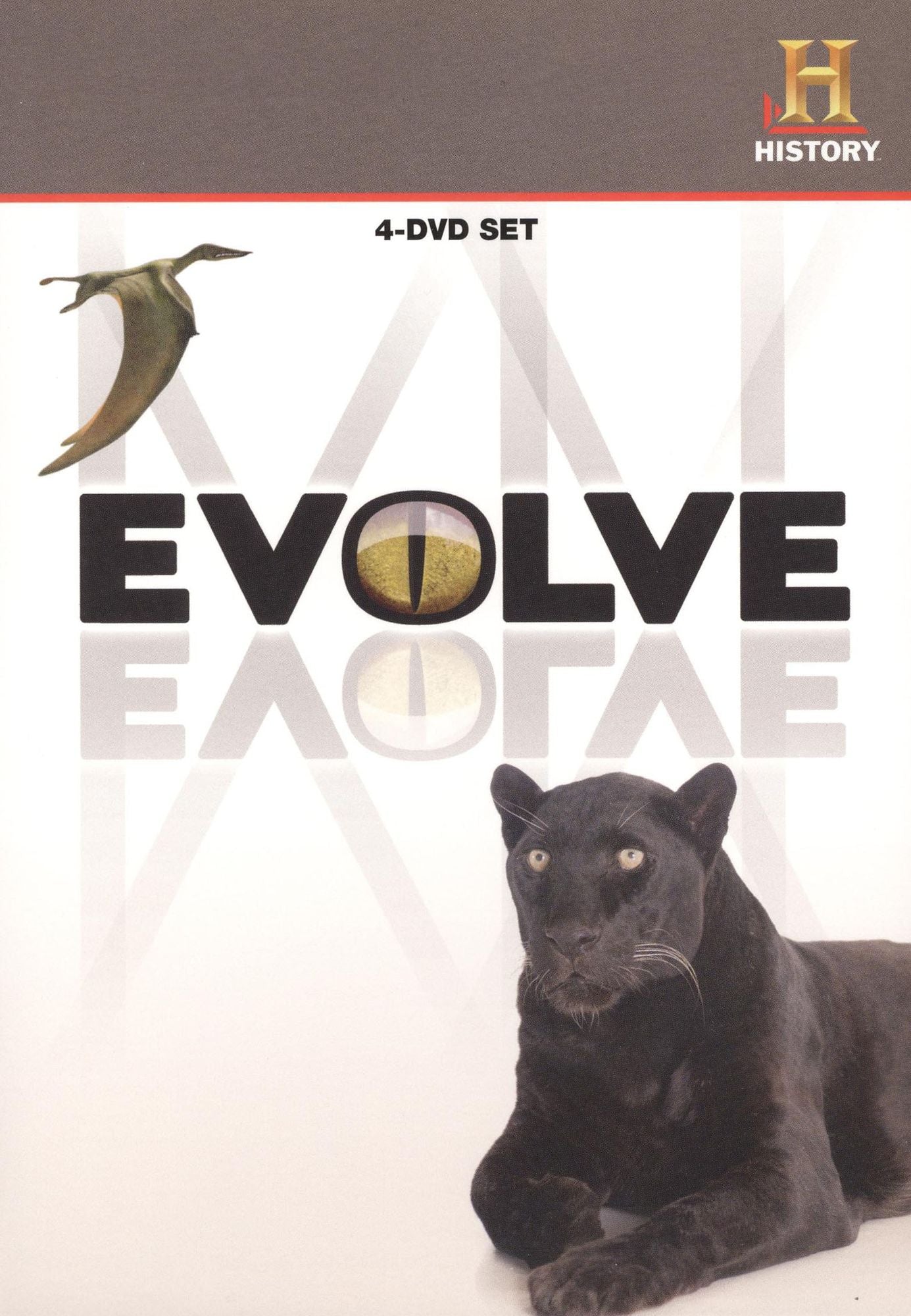 Evolve [4 Discs]