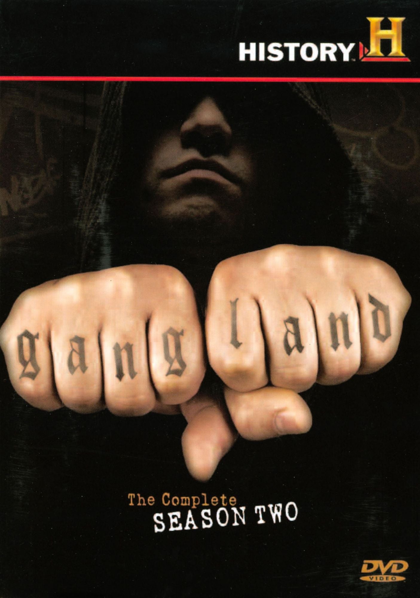 Gangland: The Complete Season Two [4 Discs]