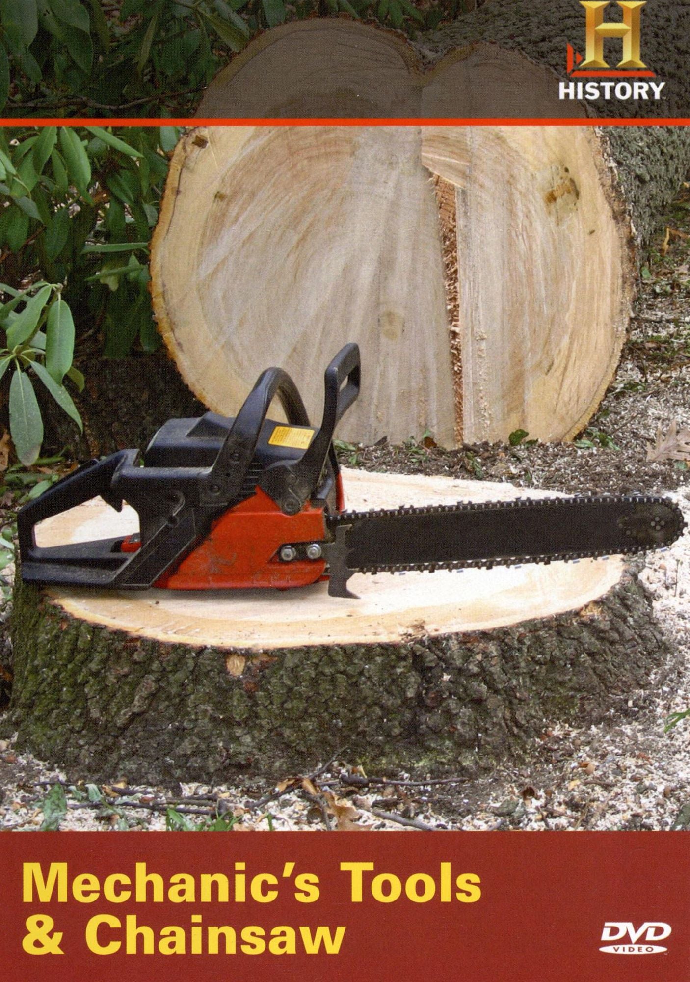 Toolbox: Mechanic's Tools and Chainsaw