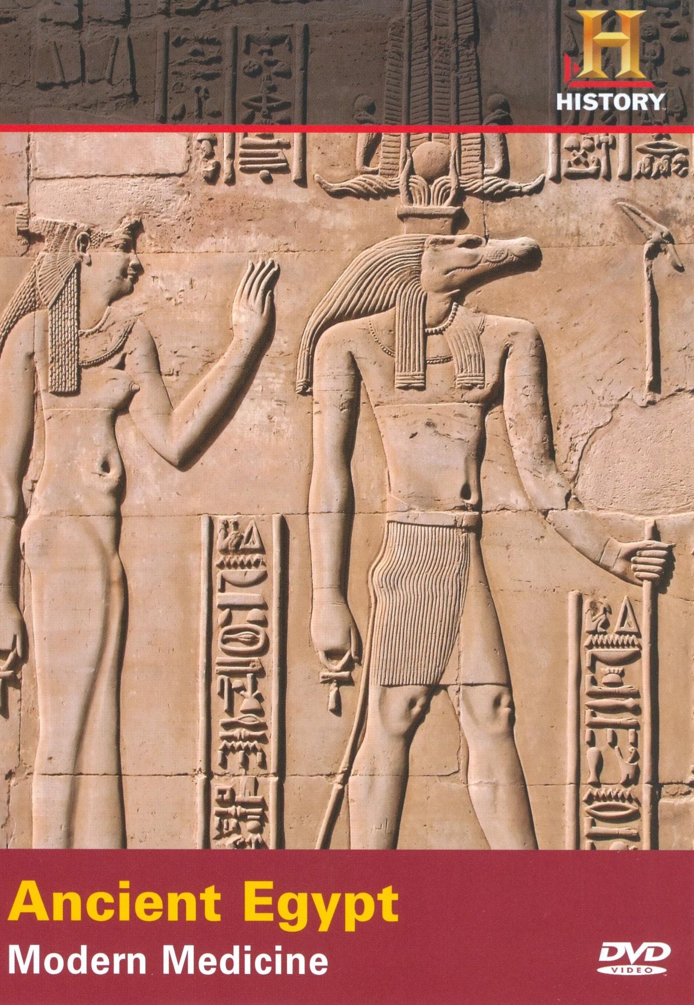 Where Did It Come From?: Ancient Egypt - Modern Medicine