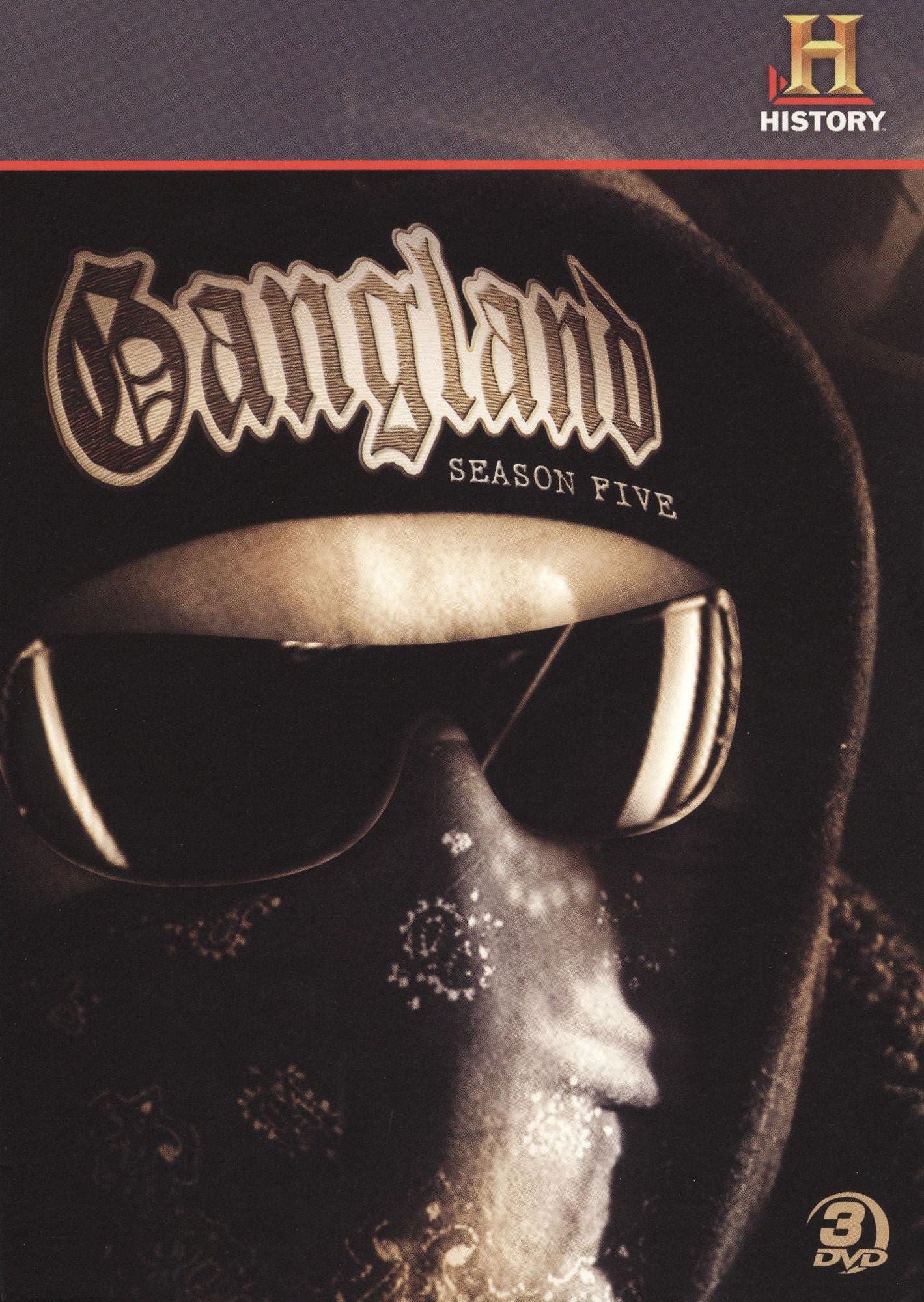 Gangland: Season Five [3 Discs]
