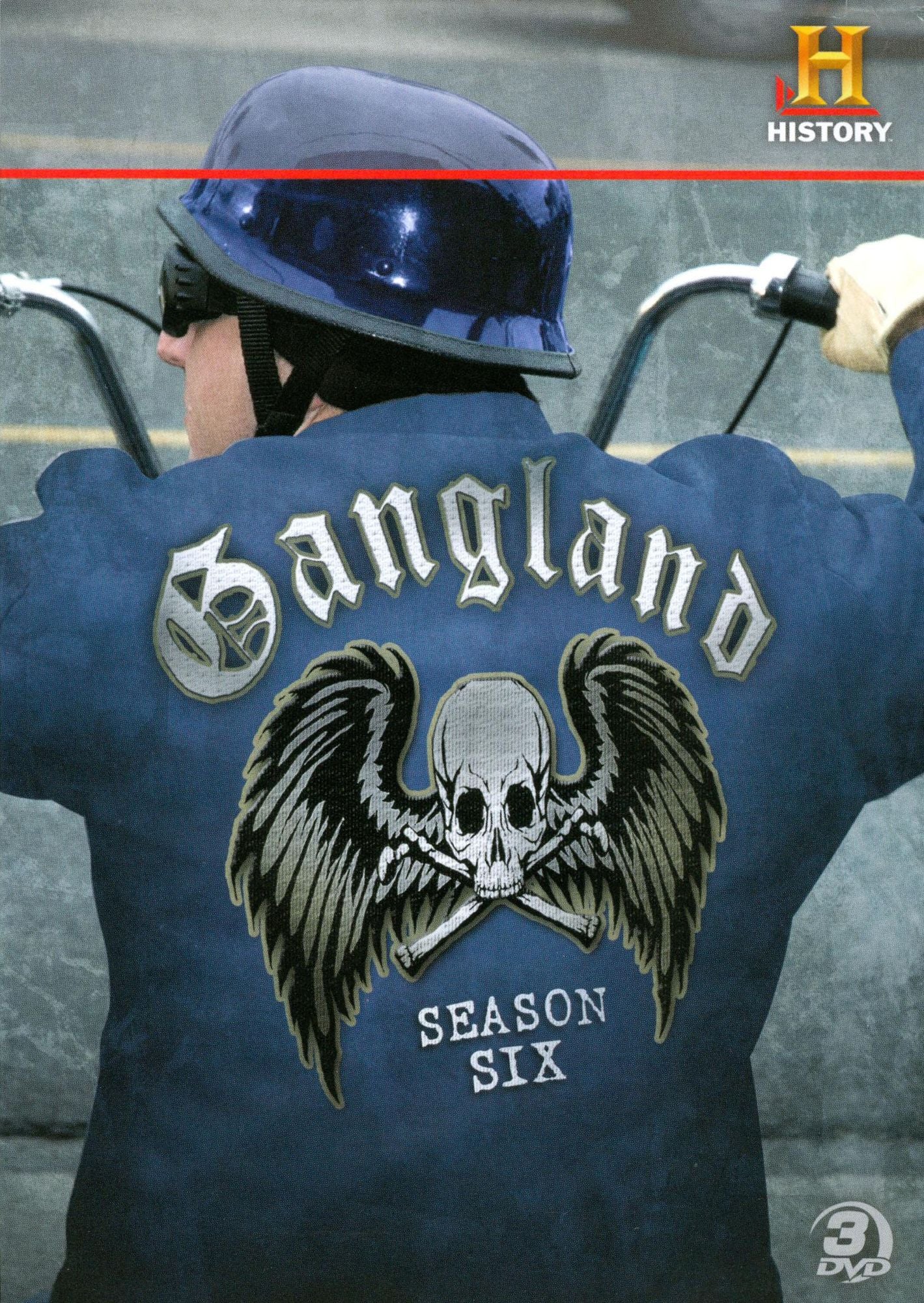 Gangland: Season Six [3 Discs]