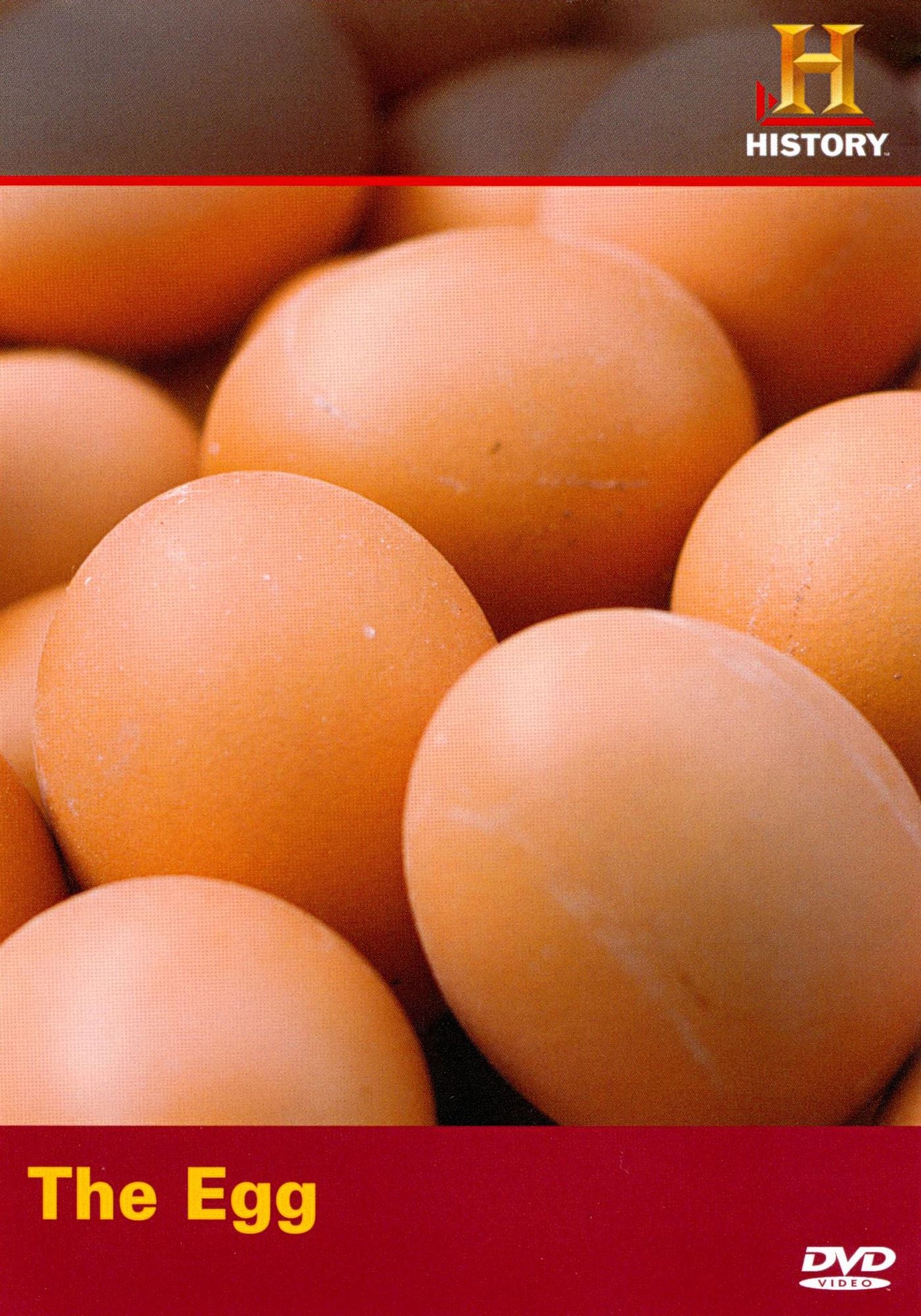 Modern Marvels: The Egg