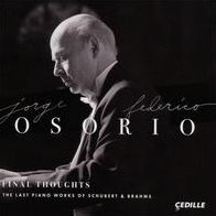 Final Thoughts: The Last Piano Works Of Schubert & Brahms