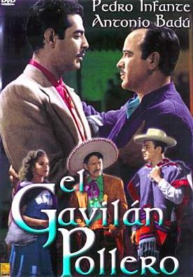 El Gavilan Pollero