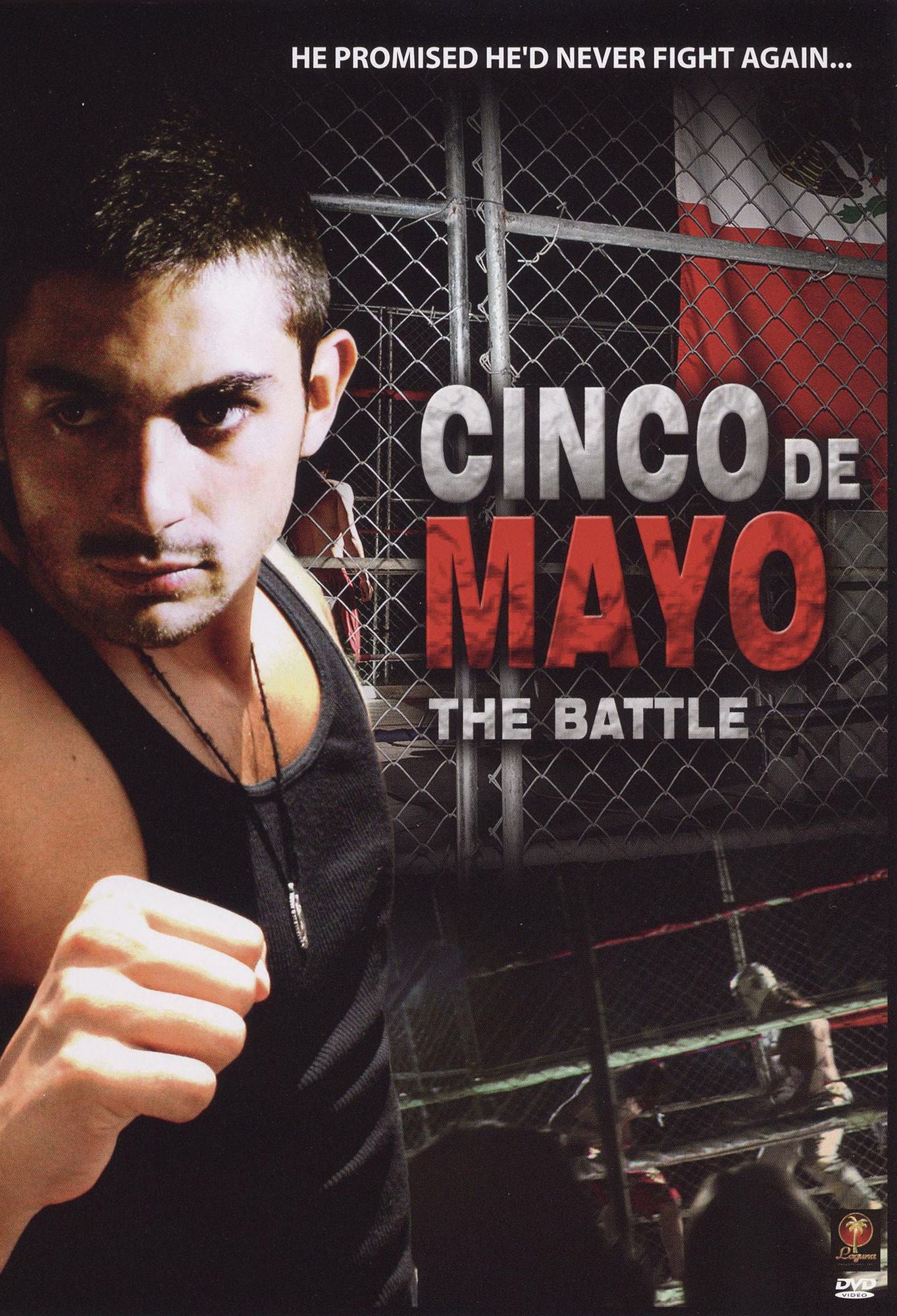 The Battle... 5 de Mayo